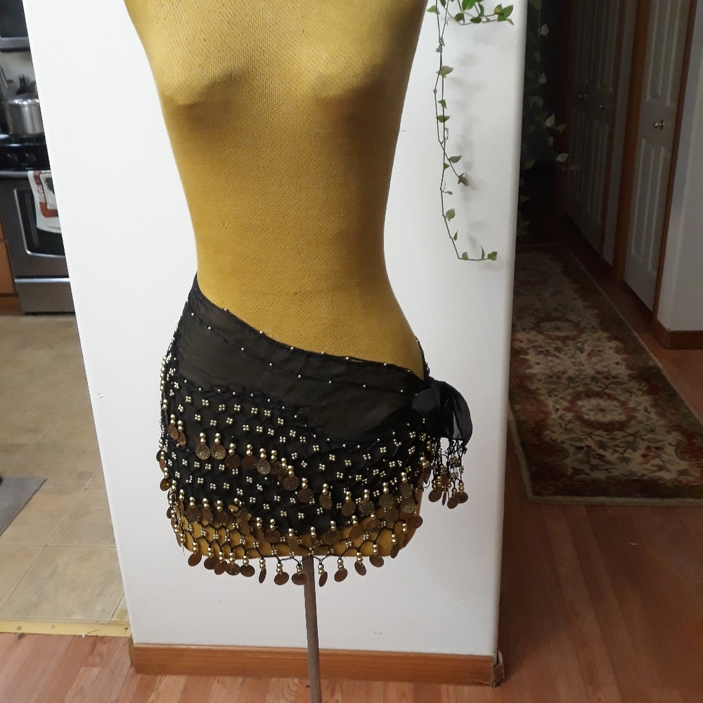 Belly dance beautiful gown.
